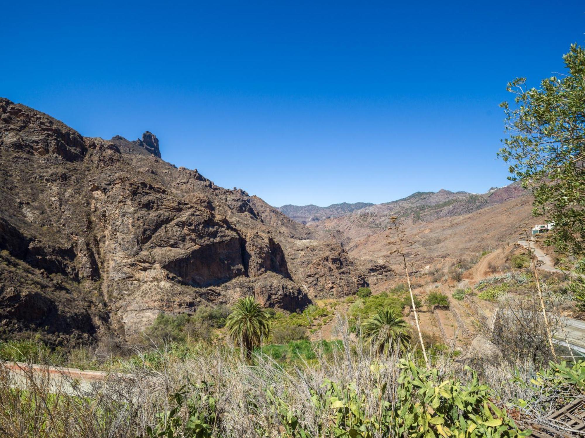 Alojamiento Rural La Montana Tejeda  Ngoại thất bức ảnh